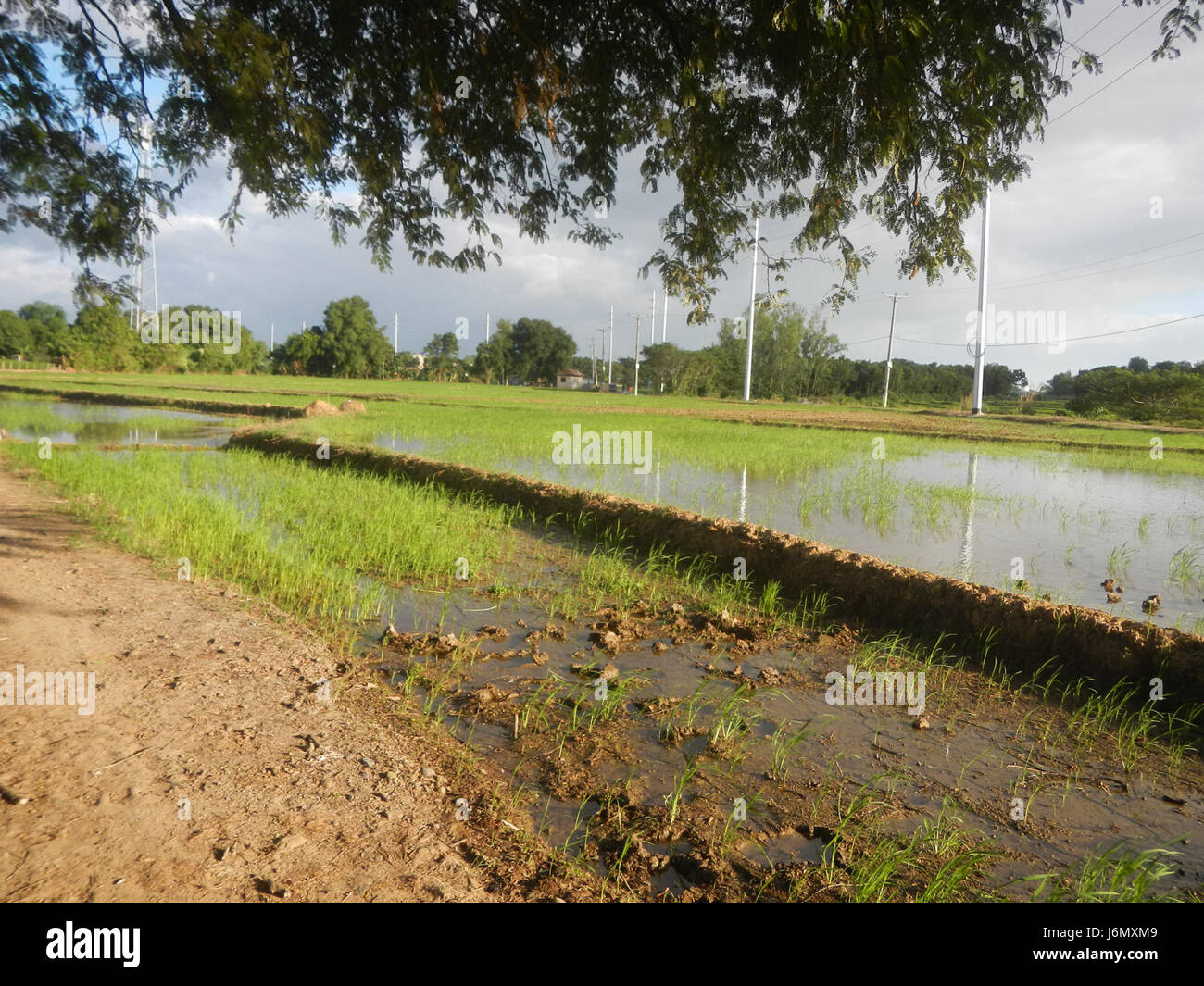 This image showcases the rural area along the Mabalas Balas, Diliman I ...