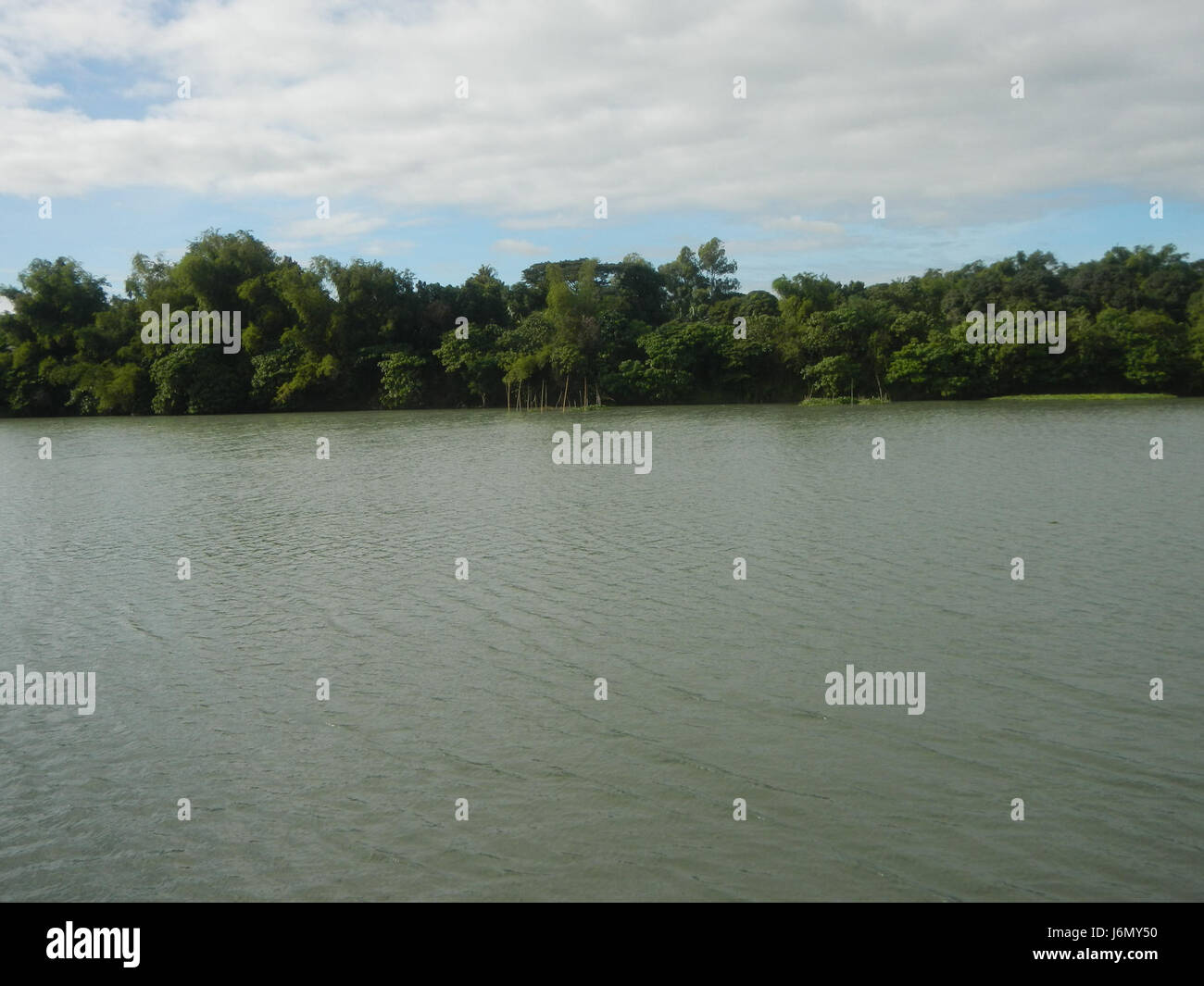 Riprap construction along the riverbanks of Pulilan in Plaridel ...