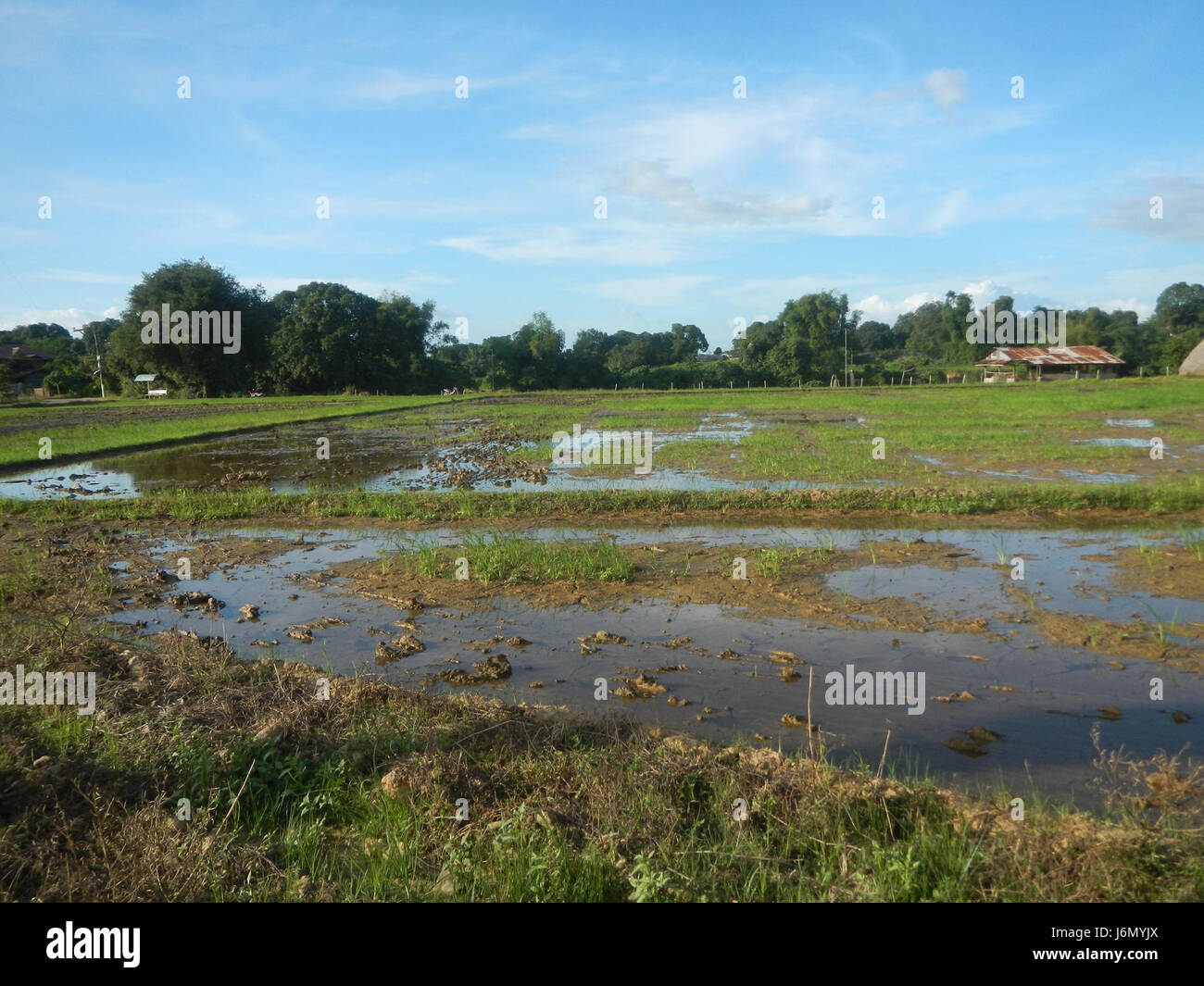 This title refers to a specific location and road system in Bulacan ...