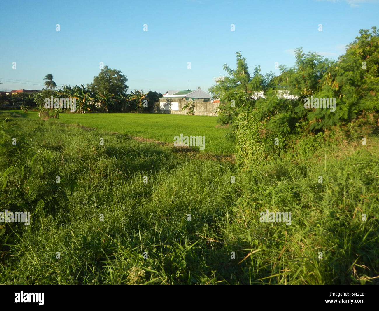 This photograph depicts the rural landscape of Sabang, Baliuag, Bulacan ...