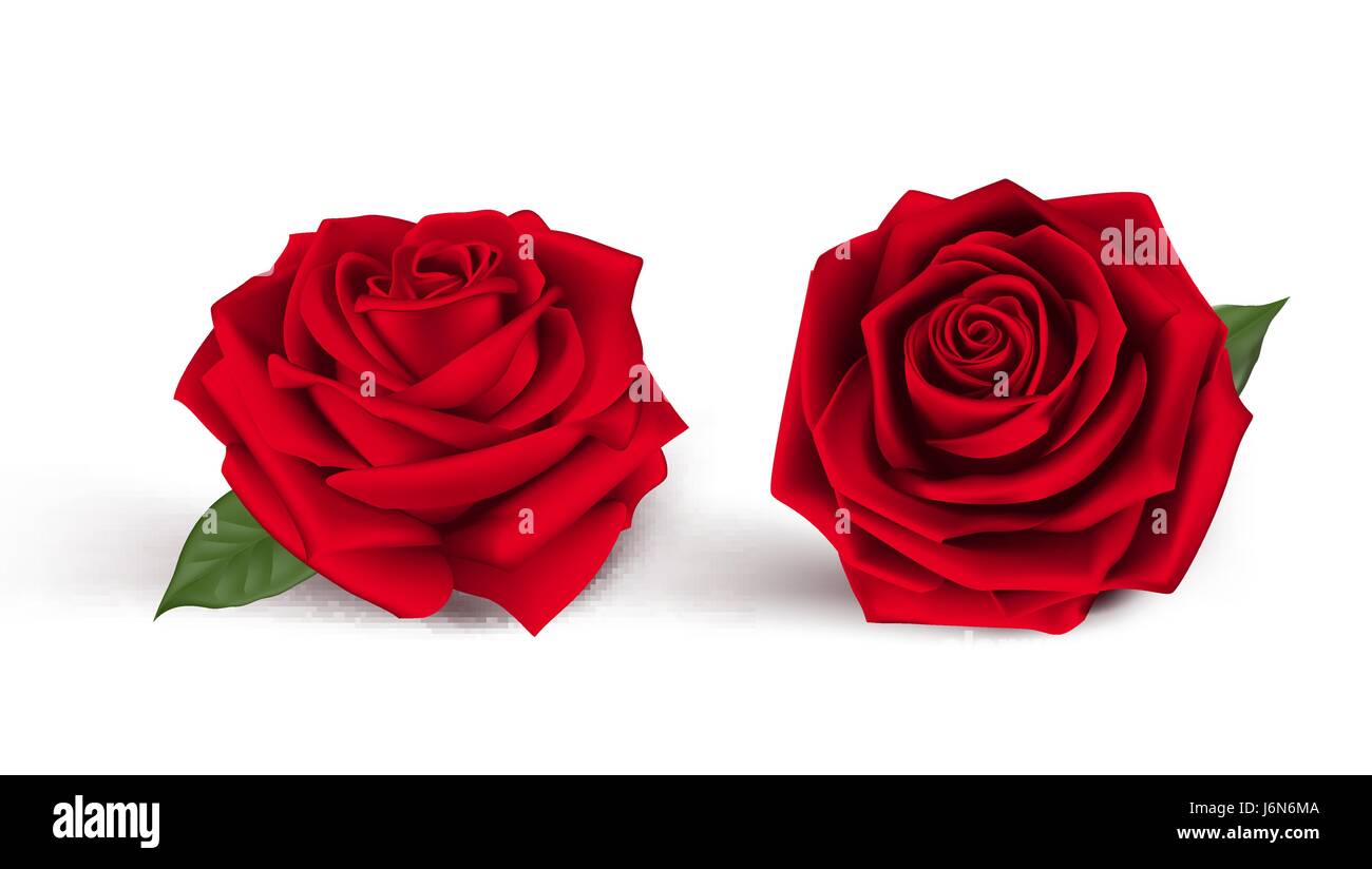 Sweet Valentines Day Background with Vector Red Roses. Mesh Vector ...