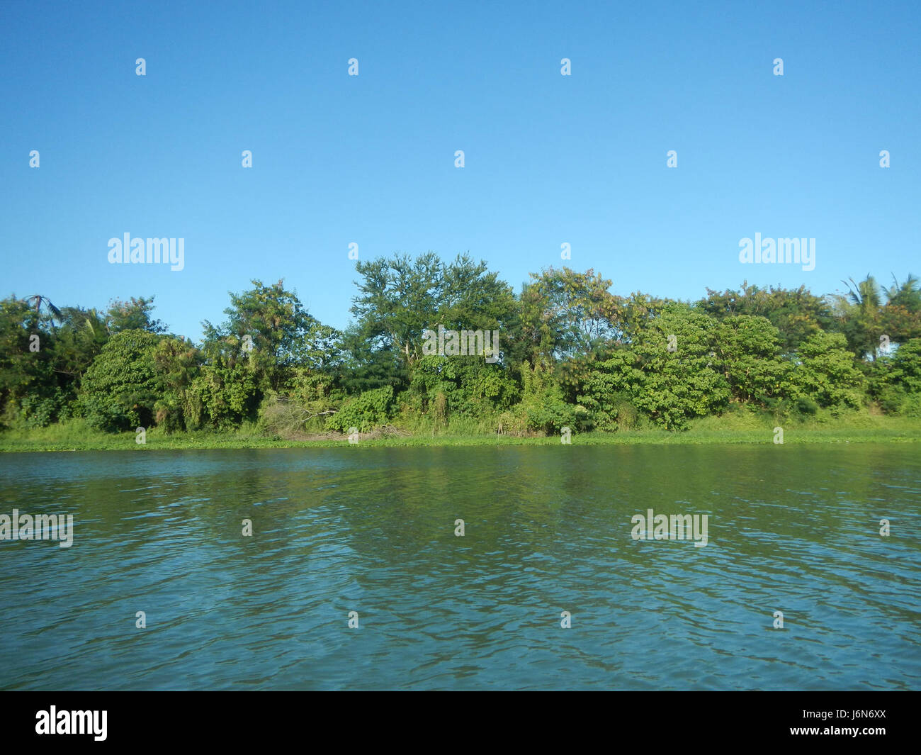 The riprap construction along the riverbanks of Pulilan and Plaridel in ...