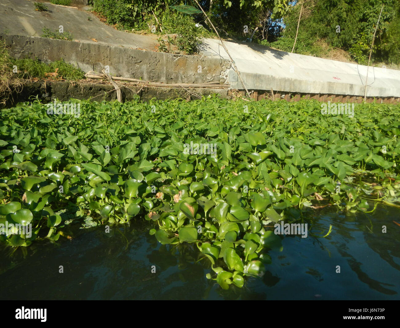 The construction of riprap along the riverbanks of Pulilan and Plaridel ...