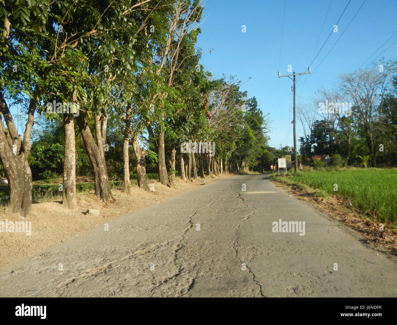 09814 Paddy fields grasslands Catacte Malawak Bustos Bulacan Farm