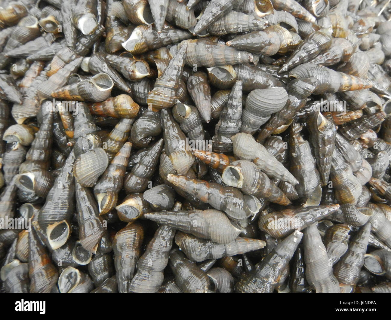 Isabela road hi-res stock photography and images - Alamy