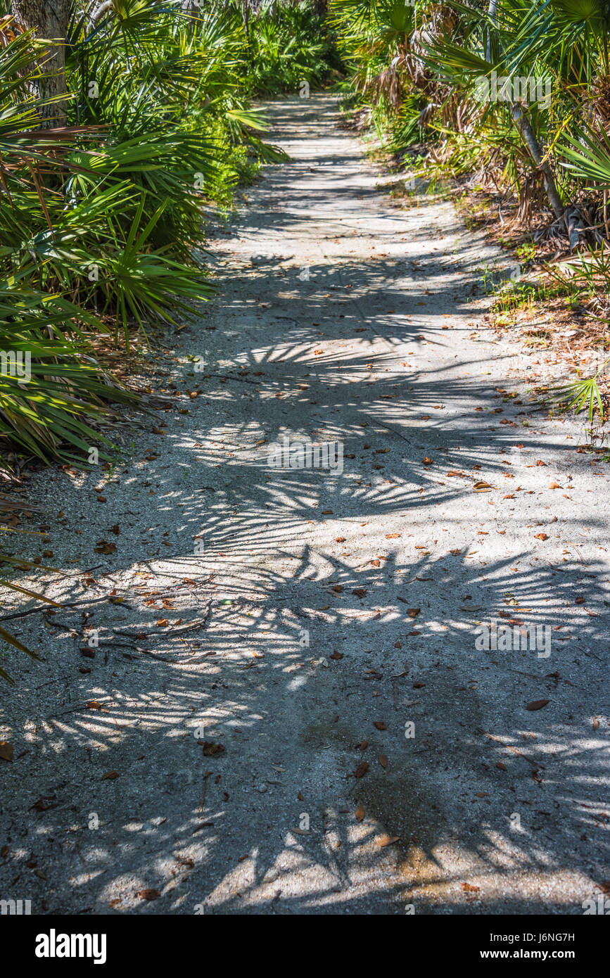 Nature trail at Tide Views Preserve in Atlantic Beach, Florida, USA. Stock Photo
