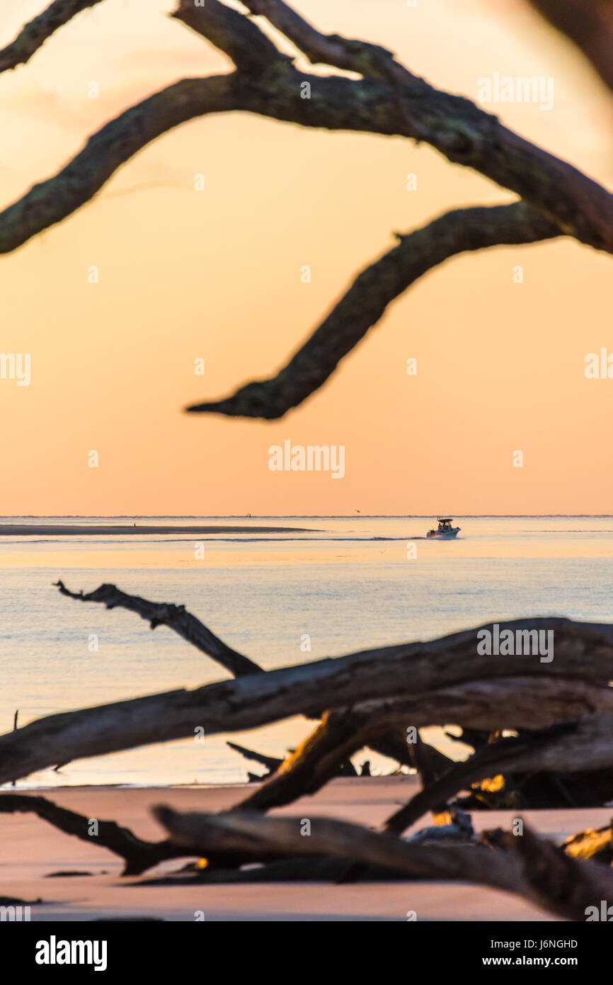 A beautiful, colorful sunrise at Boneyard Beach in Big Talbot Island