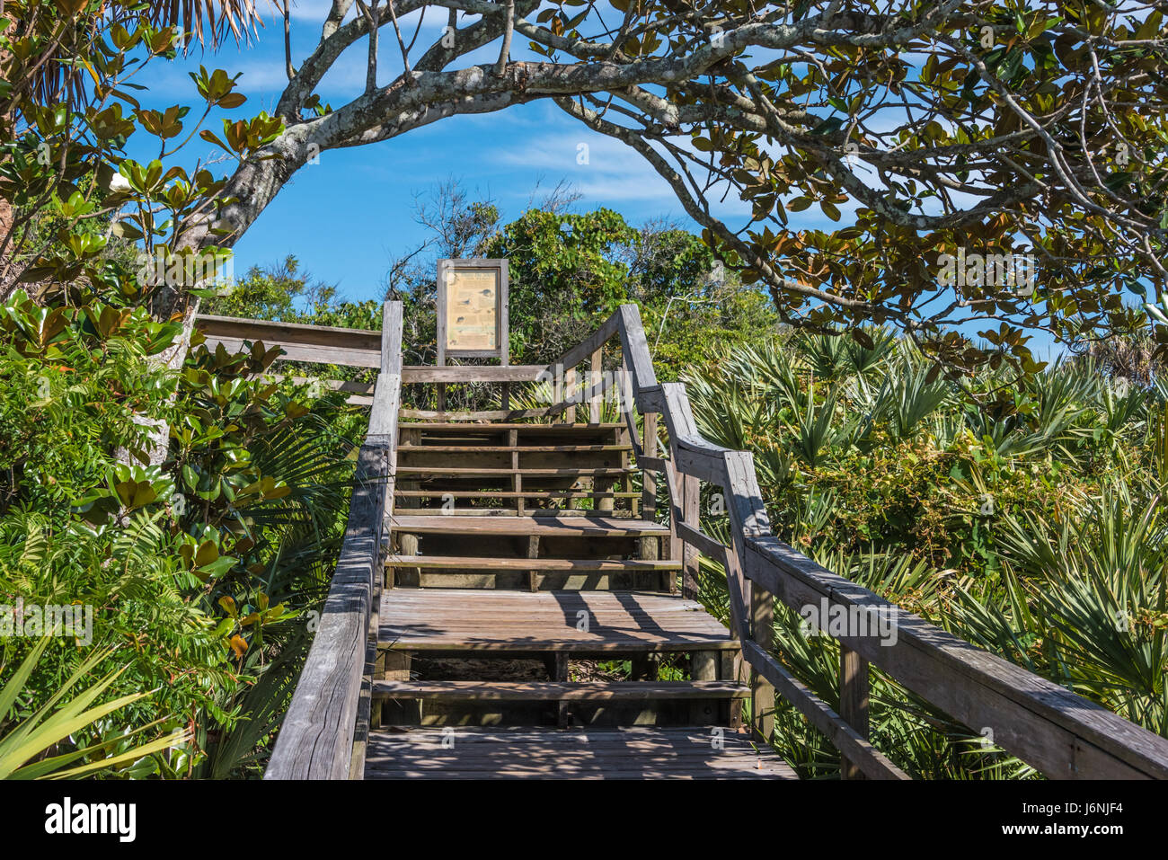 North beach access at Guana River State Park in Ponte Vedra Beach, Florida. (USA) Stock Photo