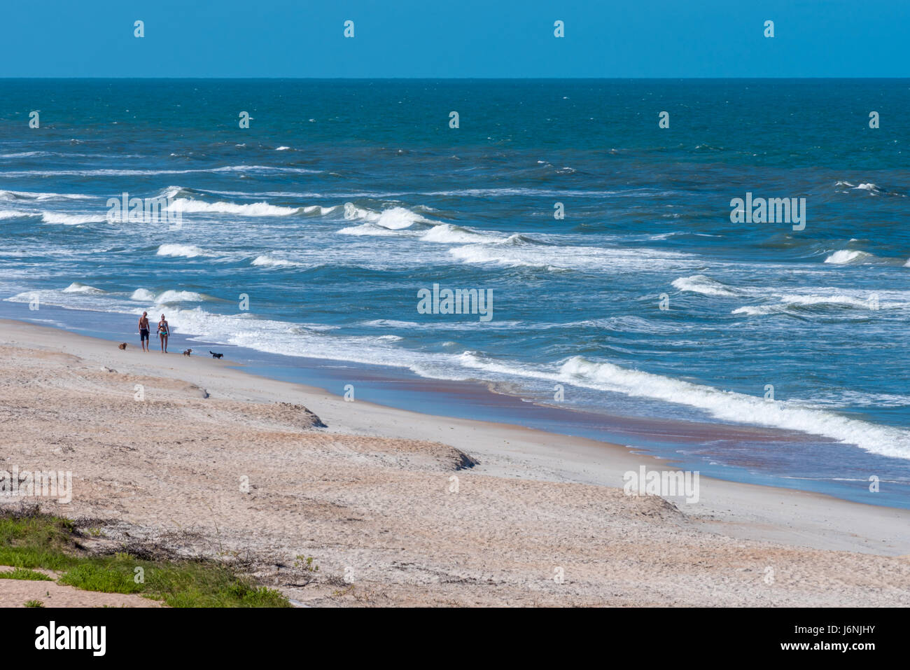Couple walking with dogs on an empty beach at Guana River State Park in Ponte Vedra Beach, Florida. Stock Photo