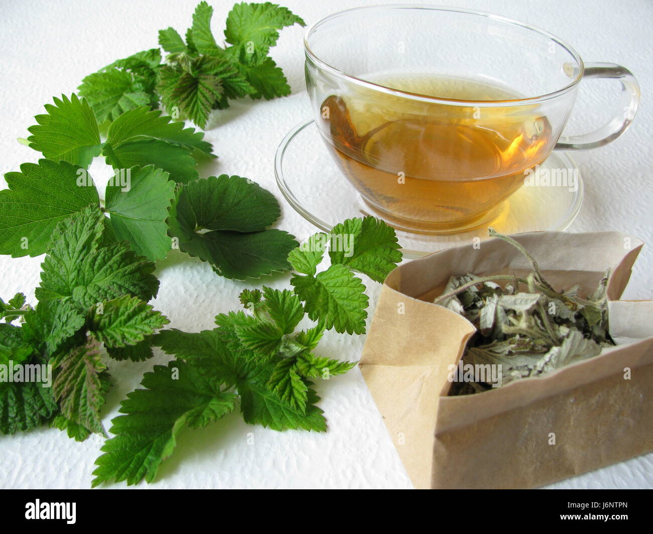 Ферментированный чай из калины. Чай из земляничных листьев. Как высушить землянику для чая на плодоножках. Чай из листьев земляники. Мята перечная отвар.