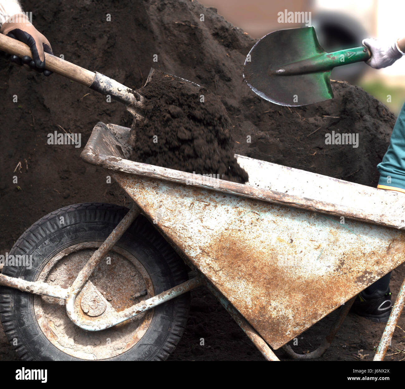 Men poured soil into wheelbarrow with shovels Stock Photo - Alamy