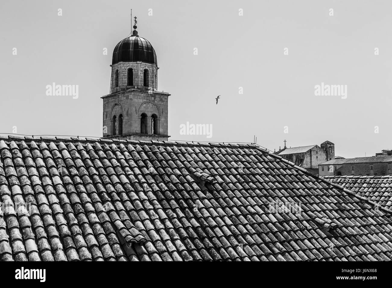 A monochrome image of a seagull passing over the Franciscan Monastery in the old town of Dubrovnik, captured at the start of the 2017 holiday season i Stock Photo