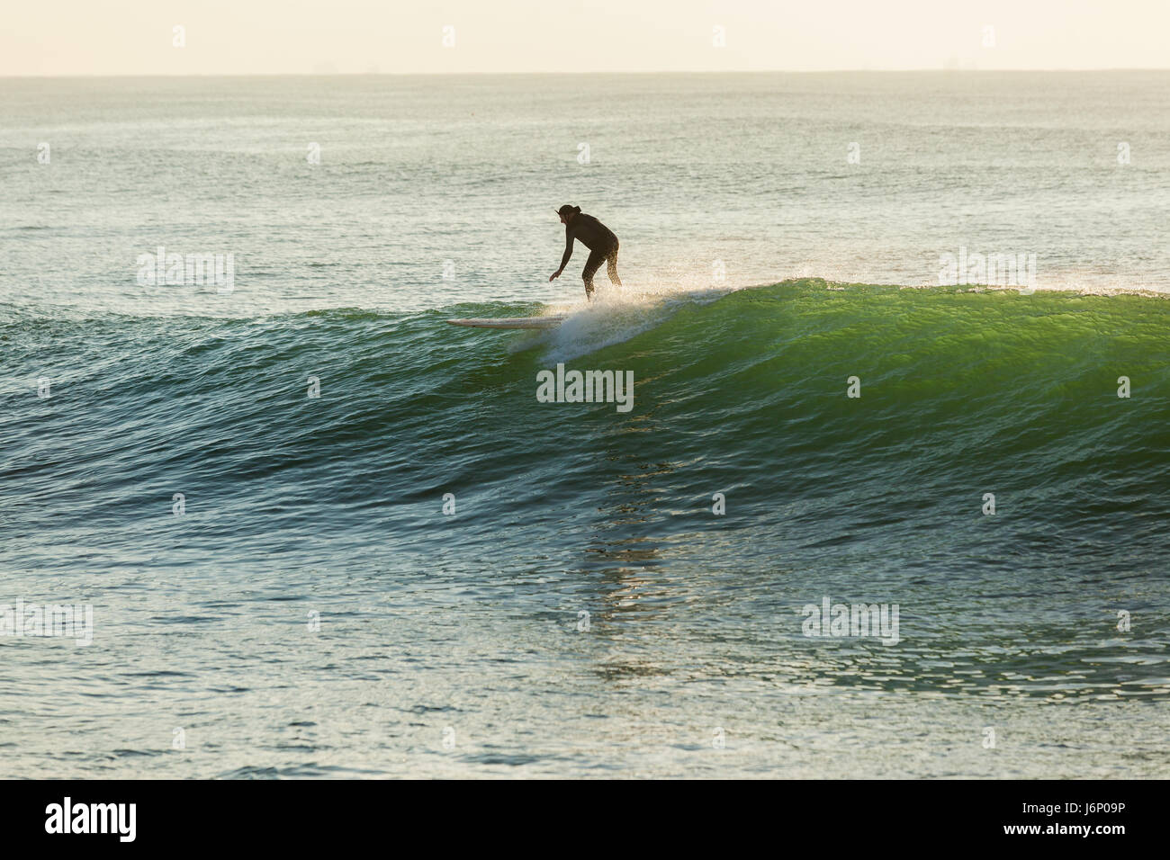 Surfing surfer on longboard catching ocean wave morning dawn session