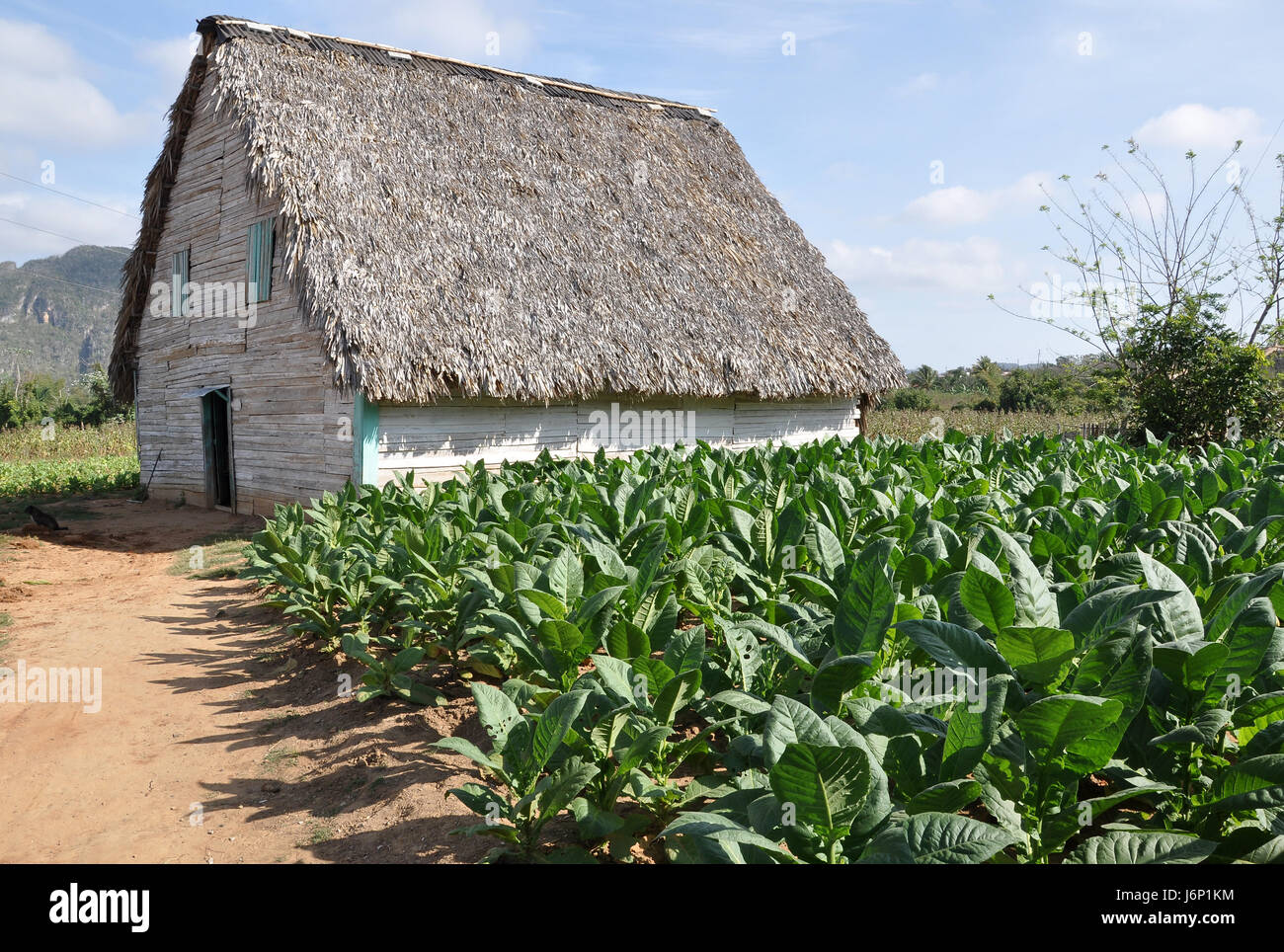 tobacco tax percentage Finance & Development, December 1999 - Tobacco Control