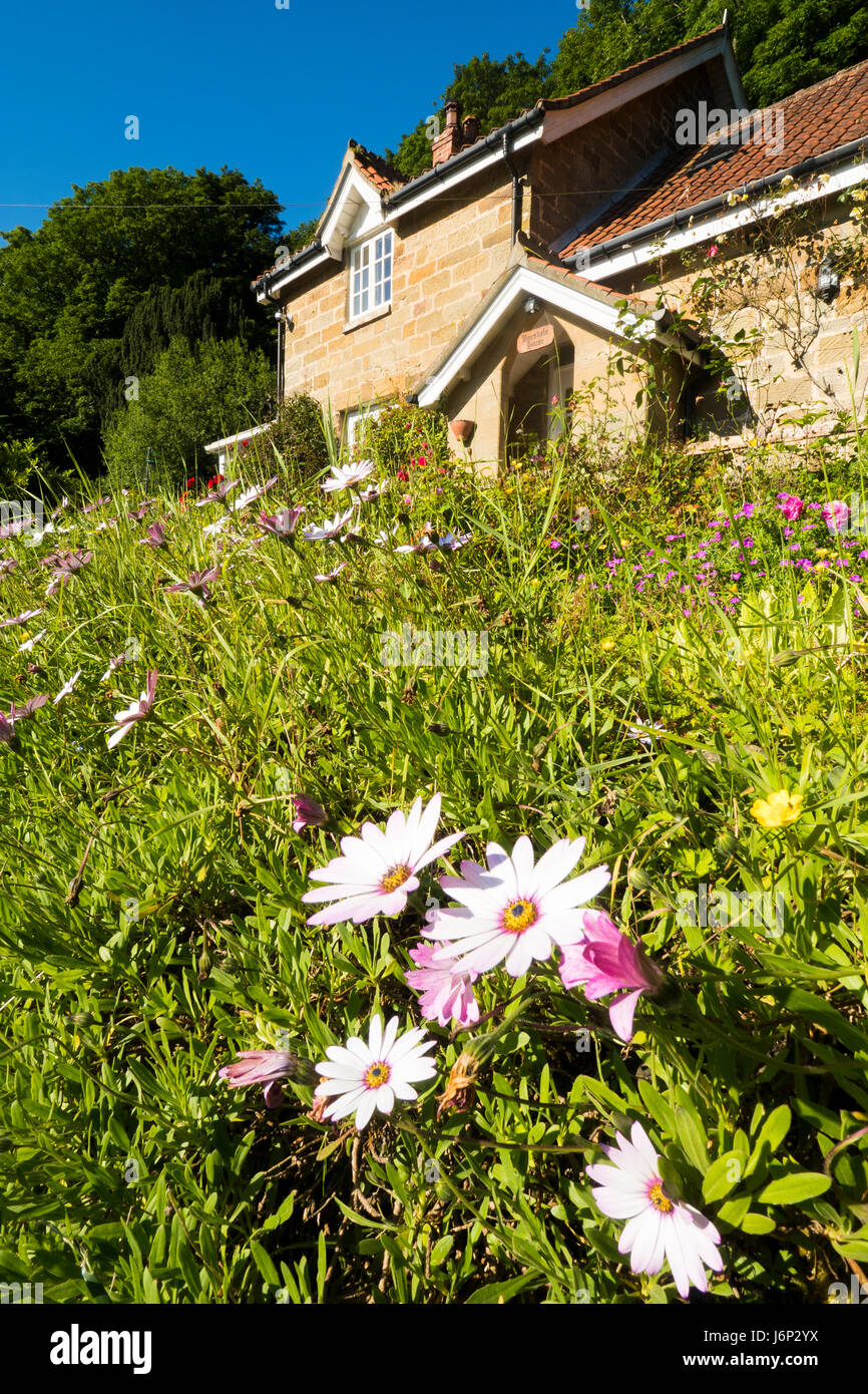 Spring Summer Garden, Bousdale, House, Guisborough, North Yorkshire
