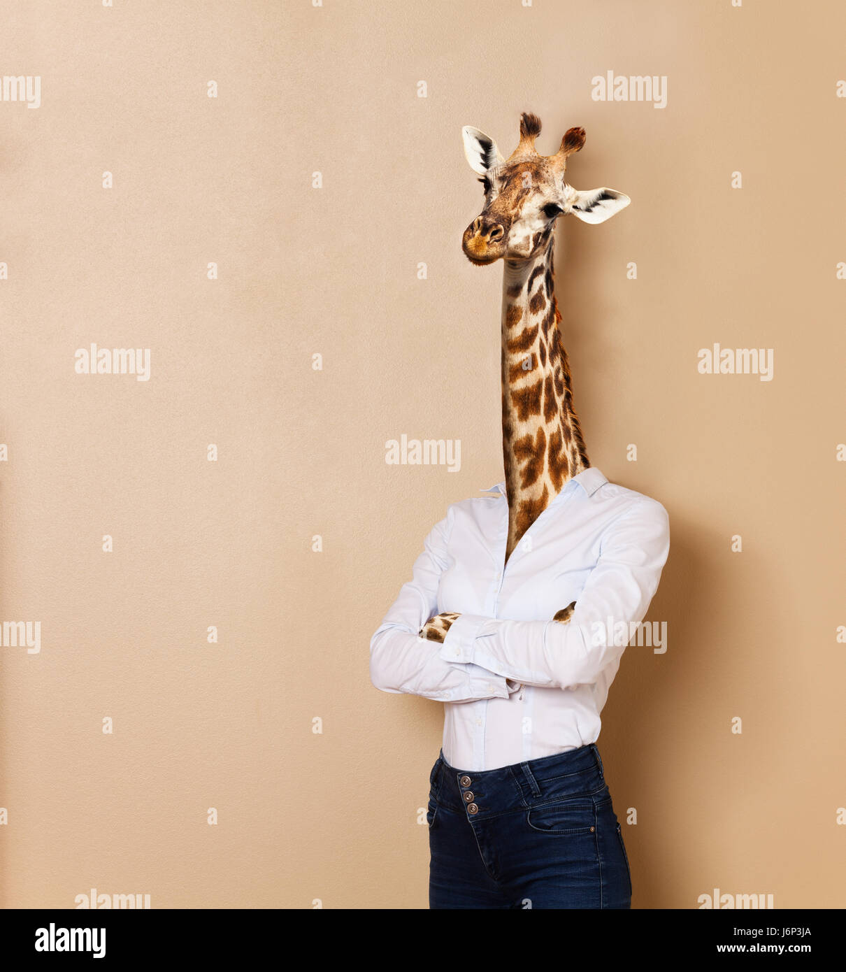 Portrait of giraffe woman dressed up white collar style, standing her