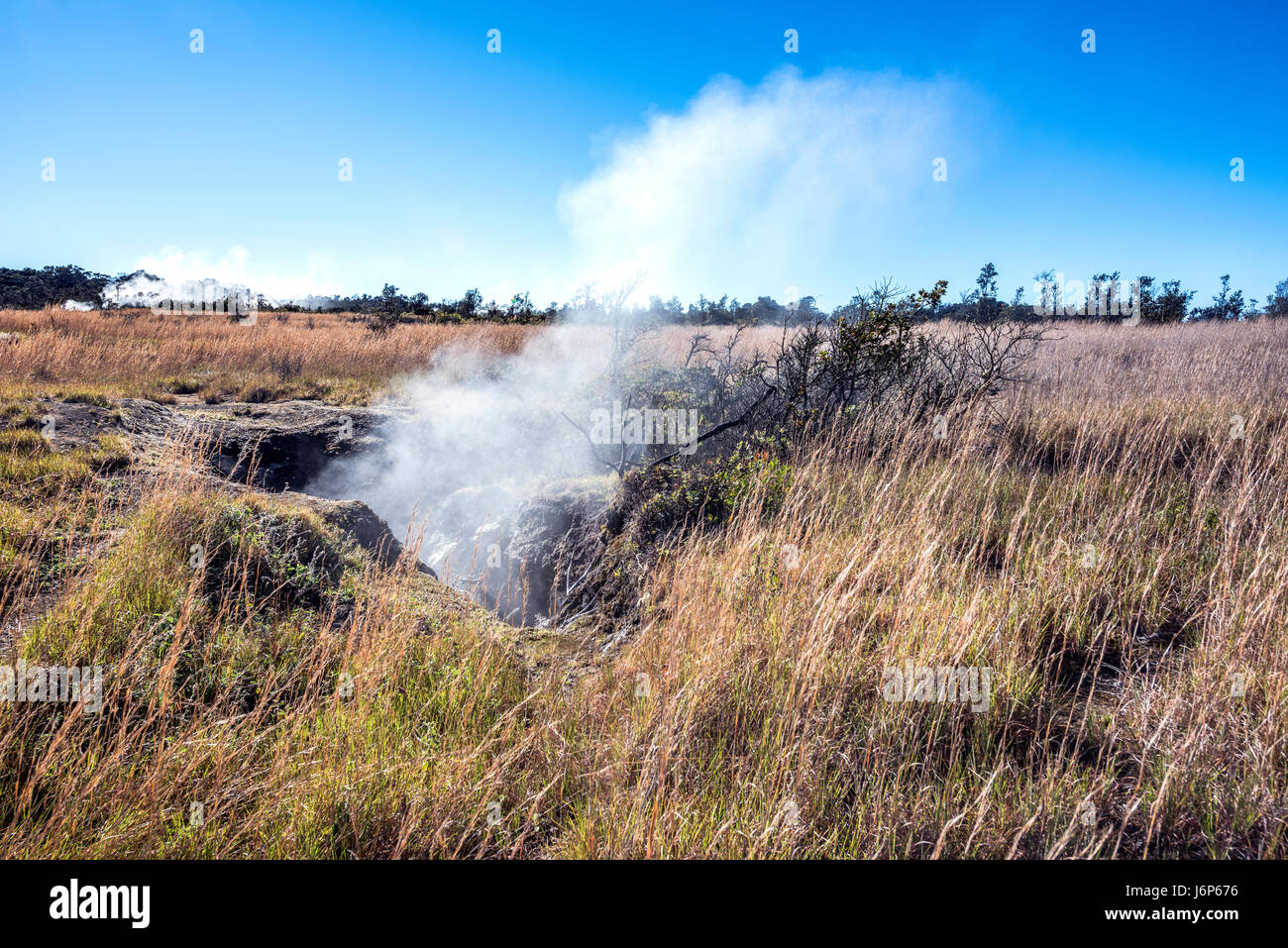 Natural steam rising from a volcanic steam vent in the earth at Volcano National Park, Kilauea