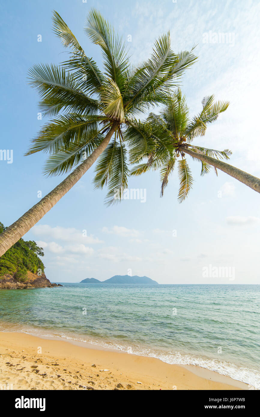 Tropical island hi-res stock photography and images - Alamy