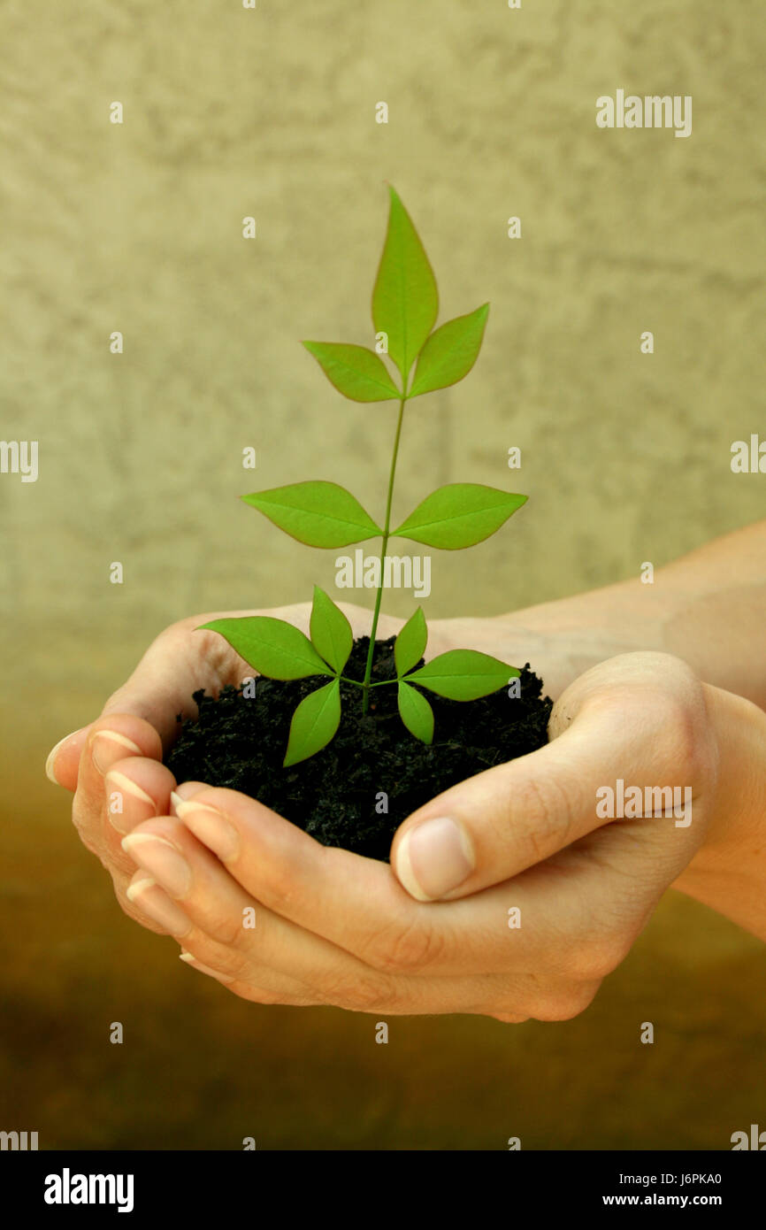 green conservation of nature protect protection environmental ...