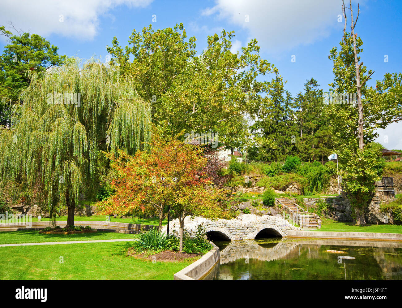 Hemingbrough Pond tree trees park bridge summer summerly fresh water pond water ...