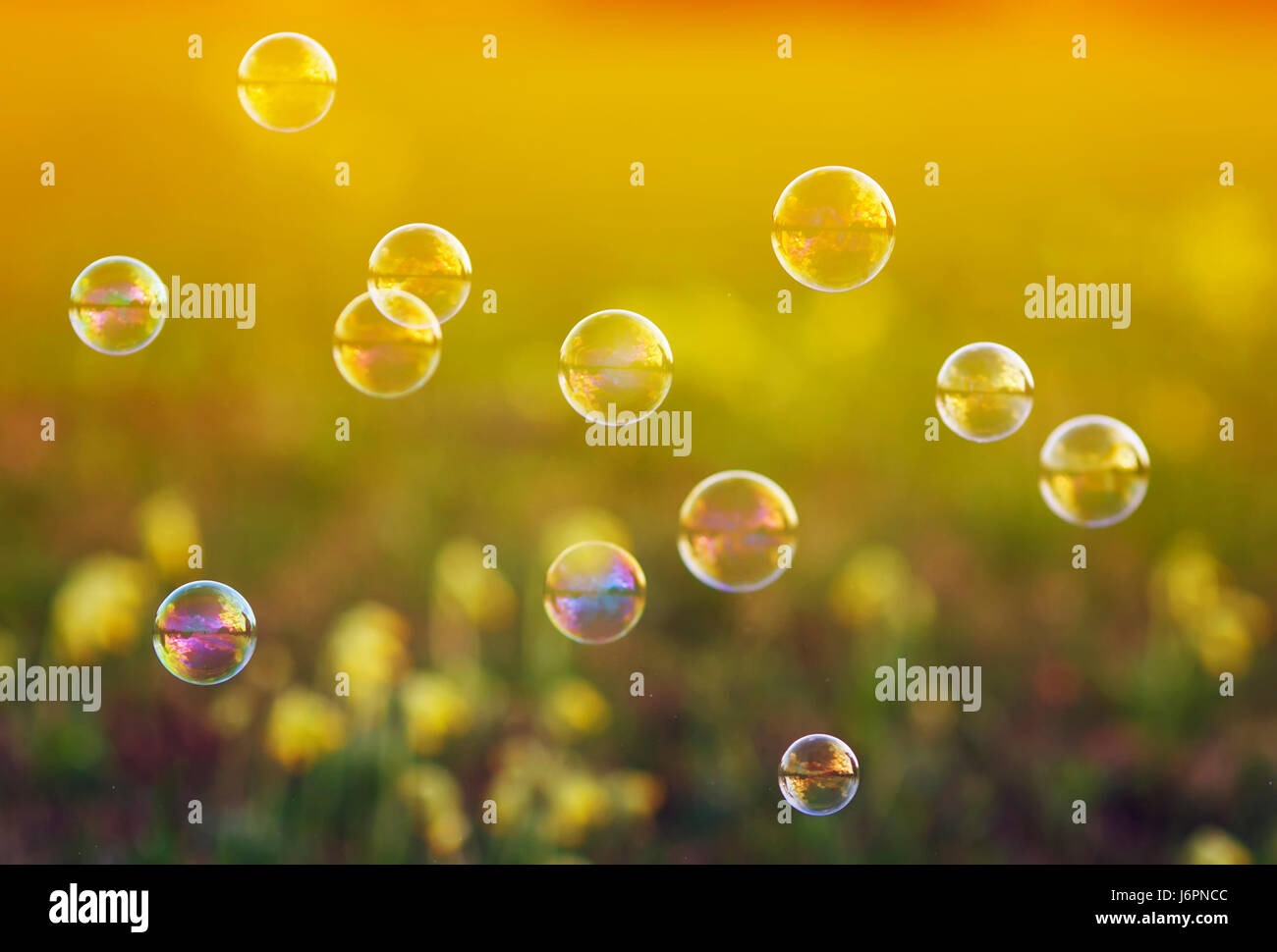beautiful festive background with iridescent soap bubbles Stock Photo ...
