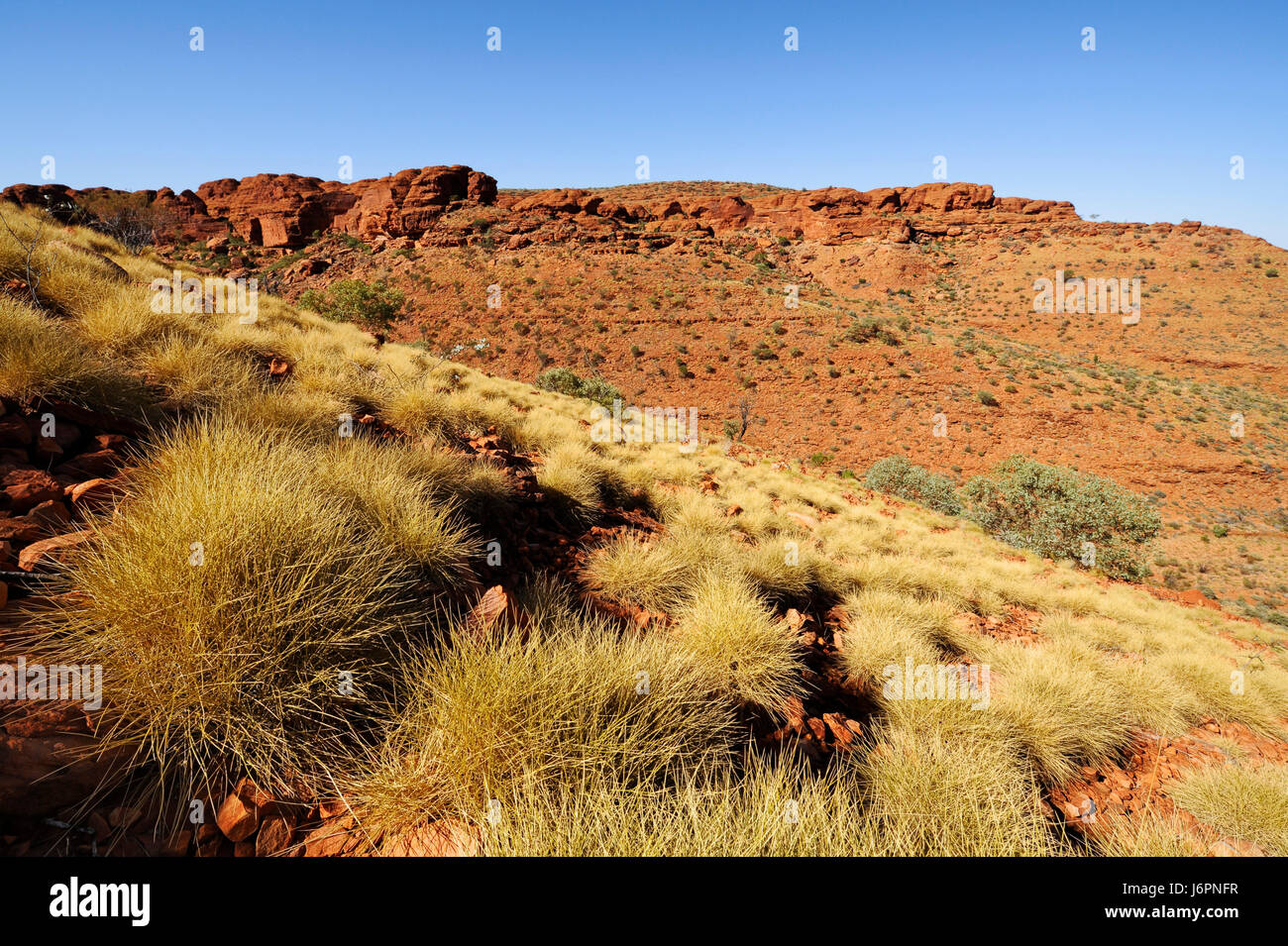 national park australia Canyon scenery countryside nature plant desert Stock Photo
