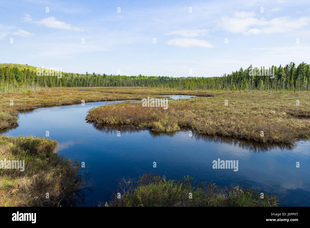 Algonquin Provincial Park Forest And River On A Sunny Spring Day, Ontario, Canada Stock Photo