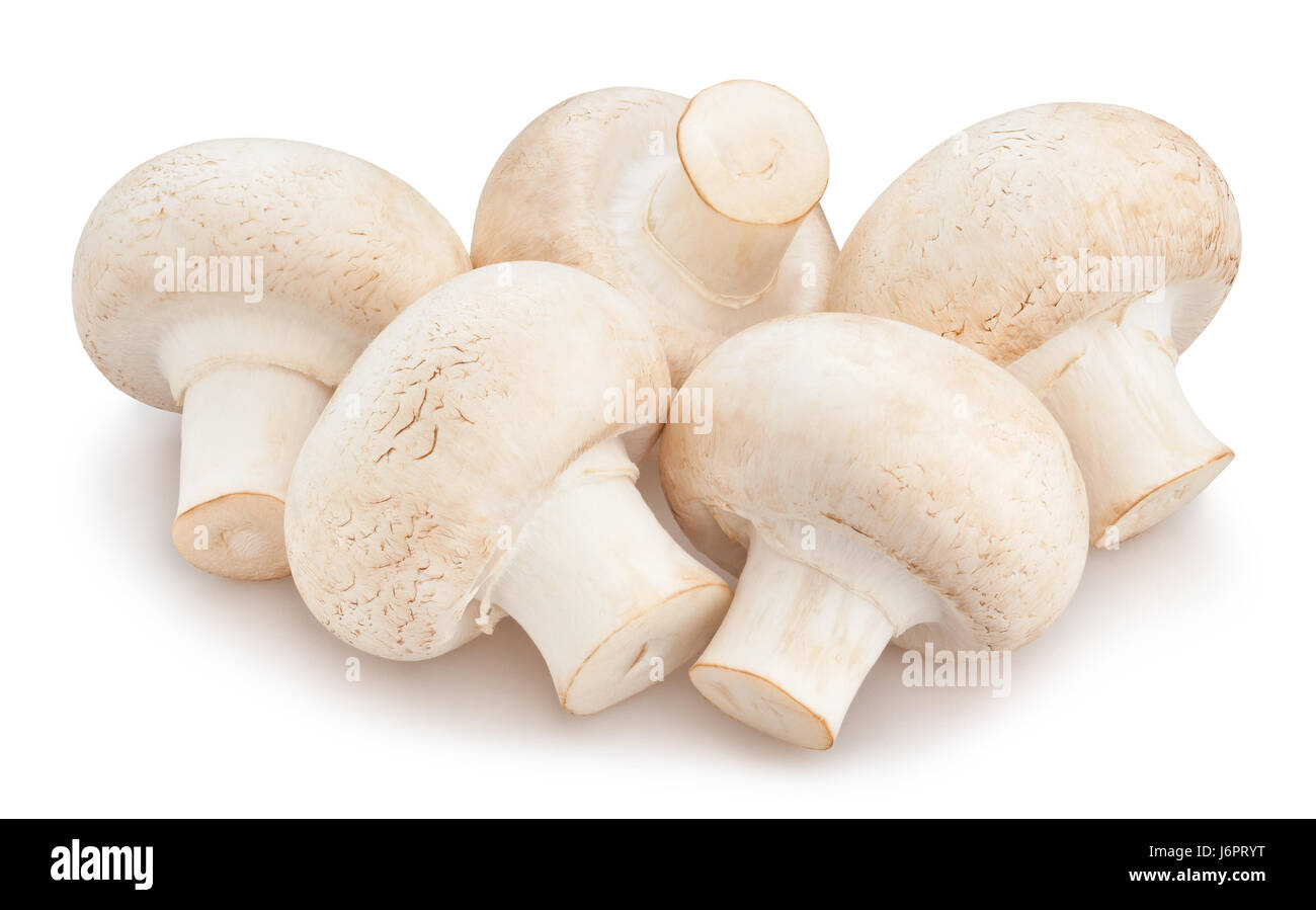 mushrooms isolated Stock Photo