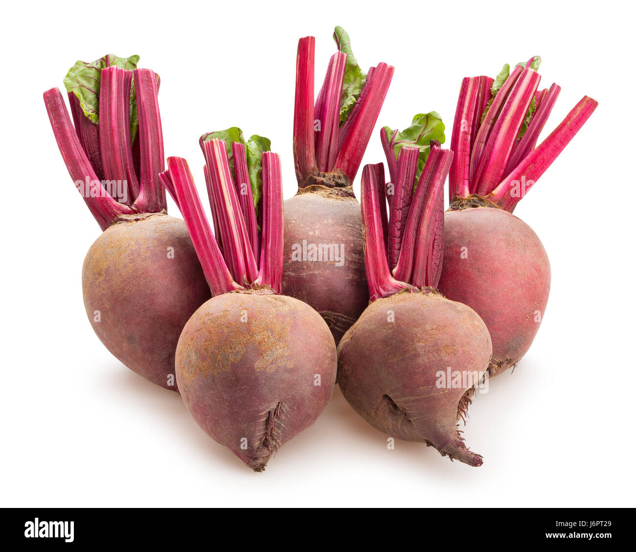 Shell Beetroot Fresh beetroot root vegetable hi-res stock photography and images - Alamy