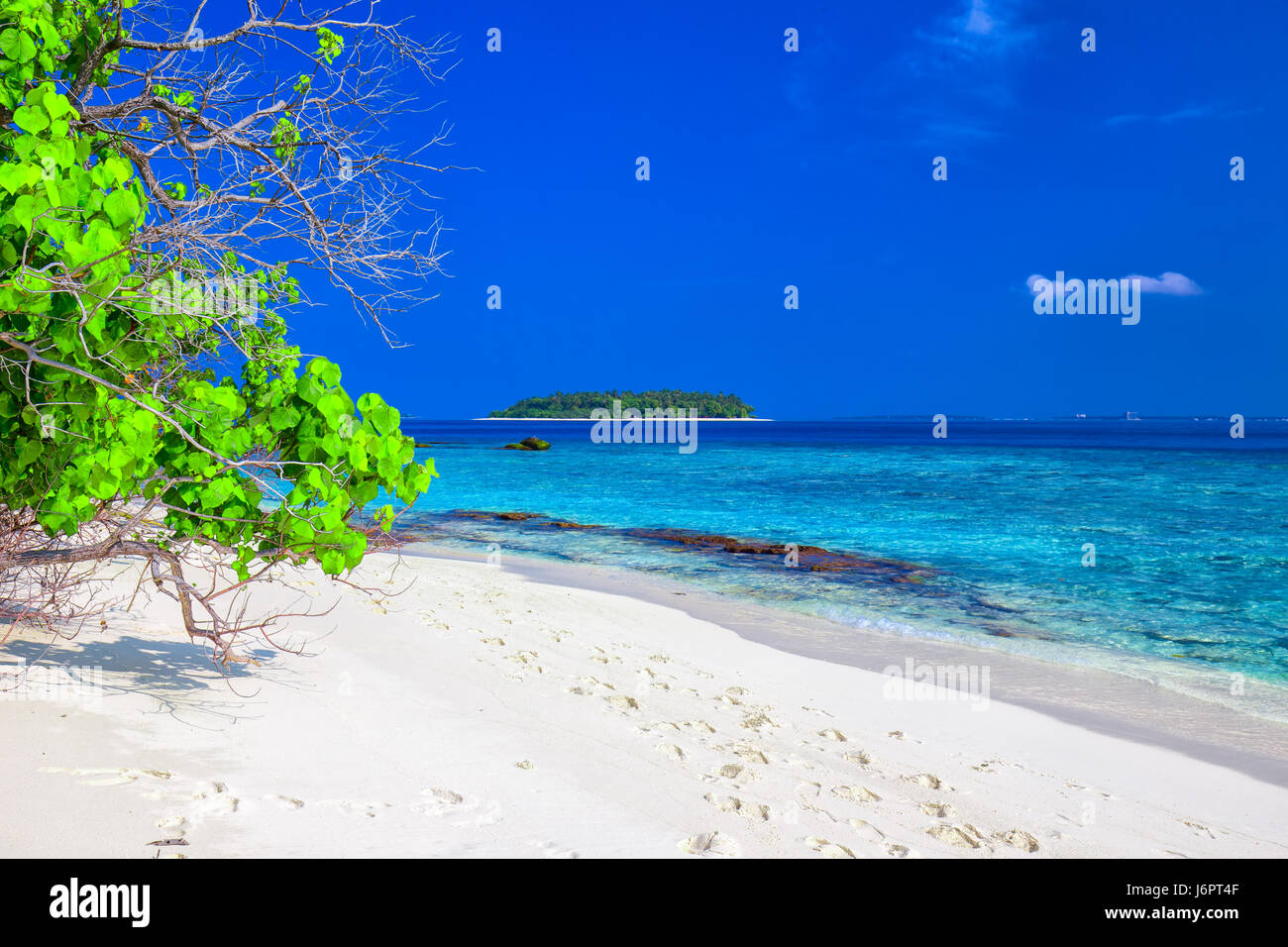 Tropical island with sandy beach, overwater bungalows and tourquise clear water, Maldives Stock Photo