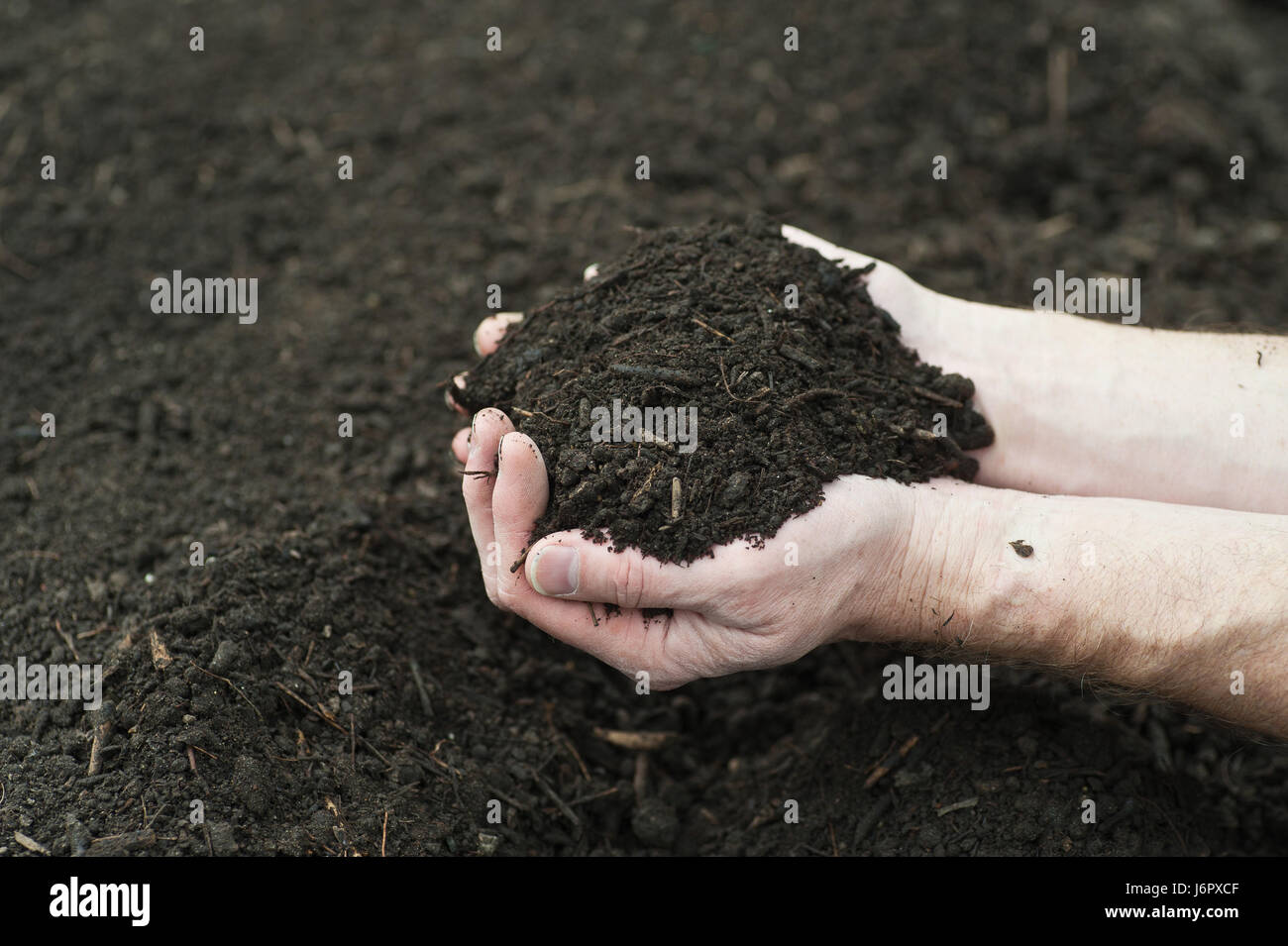 hand compost decay compost heap heap pile hand compost decay rot ...