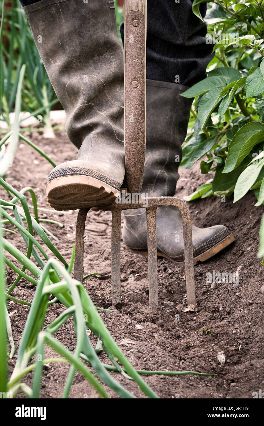 Fork farming tool deals