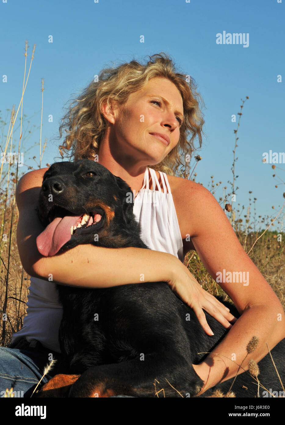 woman animal pet dog dapper accosting pretty prettily prettier ravishing Stock Photo