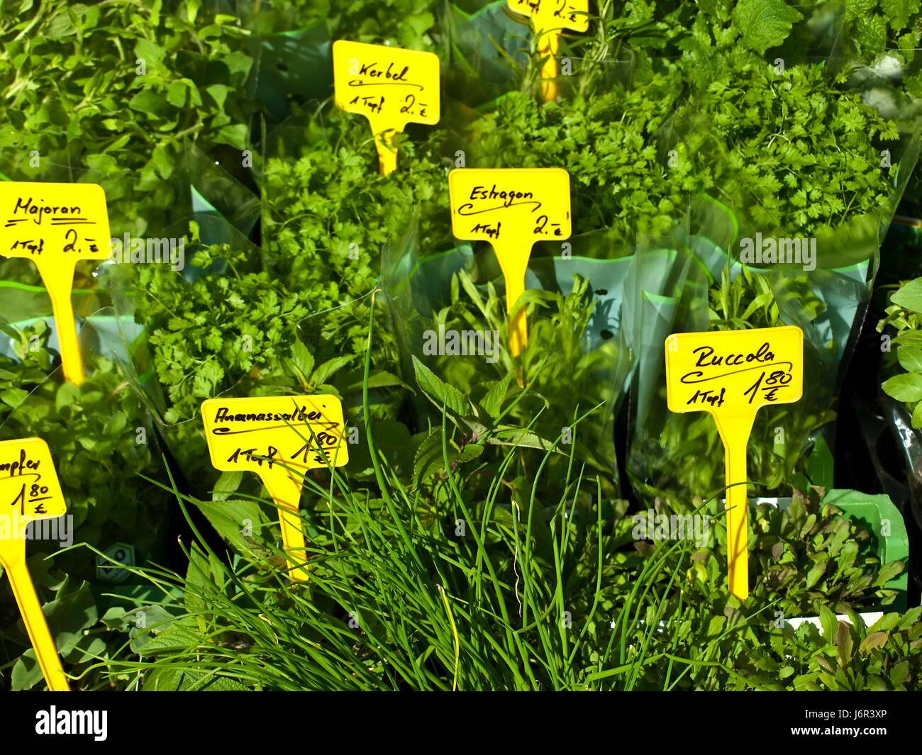 herbs Stock Photo