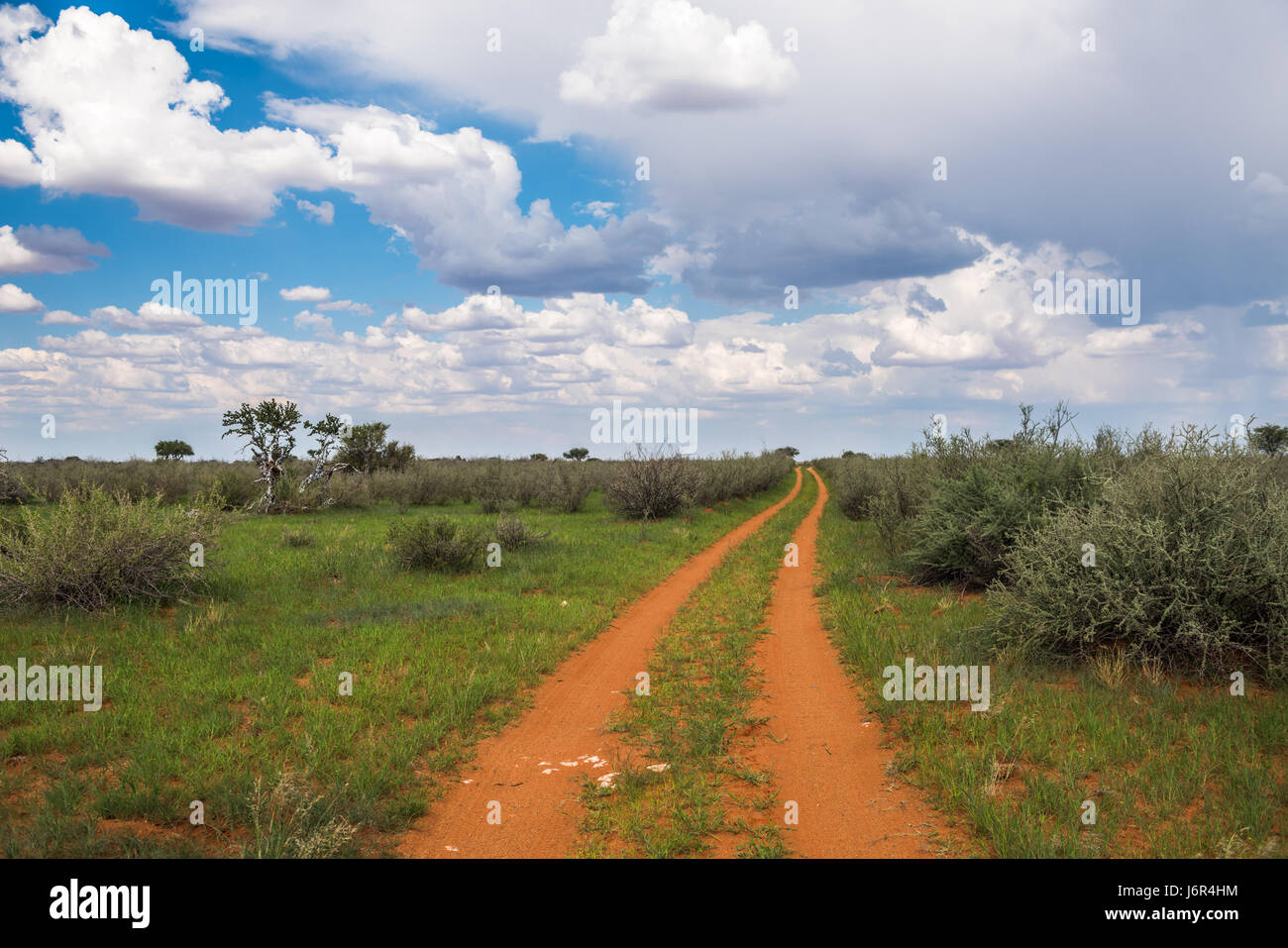 Dirty road in Kalahari desert Stock Photo