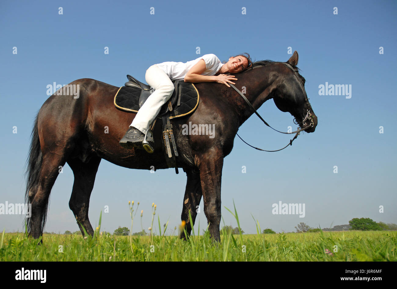 woman horse black swarthy jetblack deep black stallion white girl girls blue Stock Photo