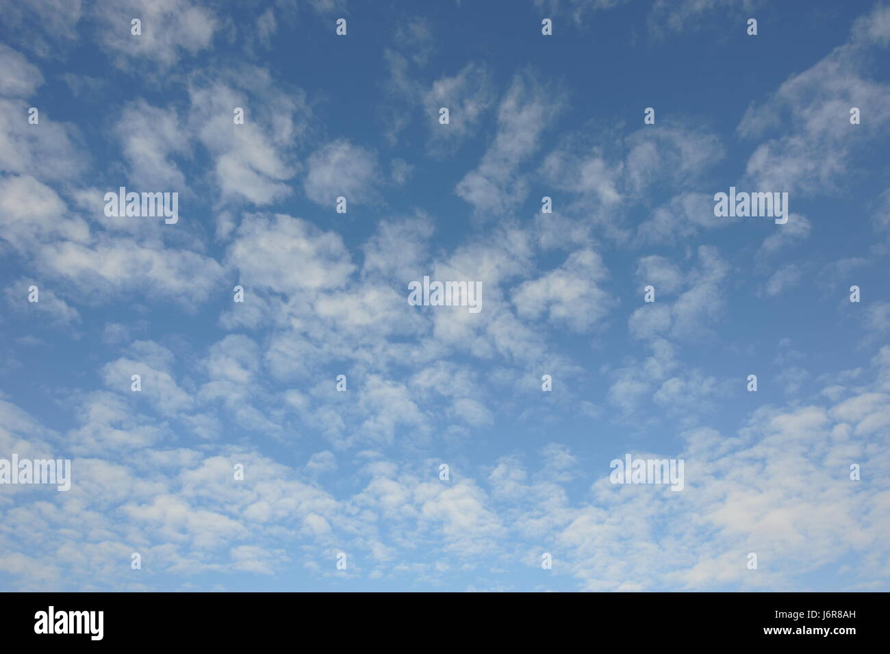 altocumulus Stock Photo