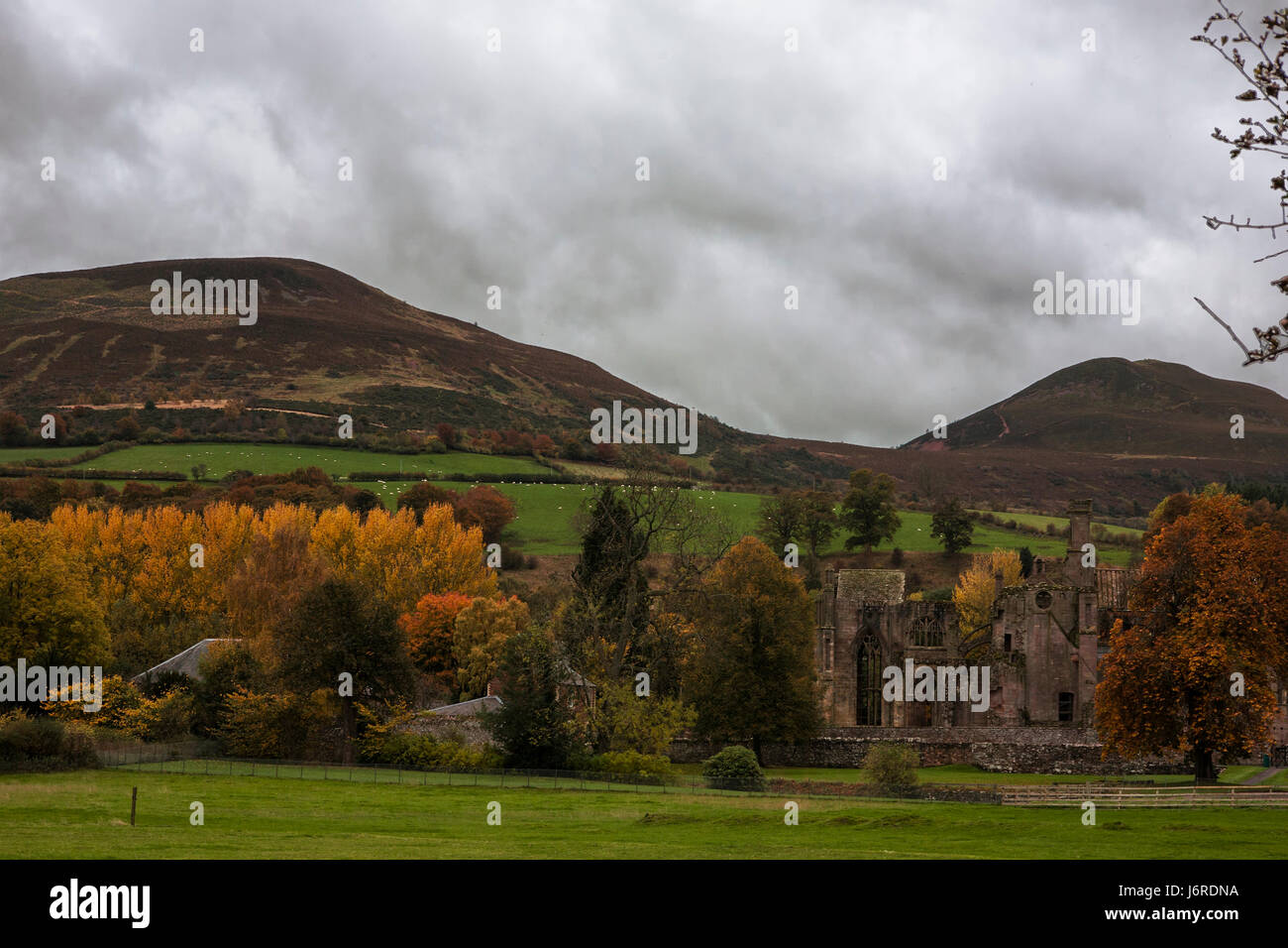 The ruins of Melrose Abbey and the Eildon Hills from Annay Road, Melrose, Scottish Borders, UK Stock Photo