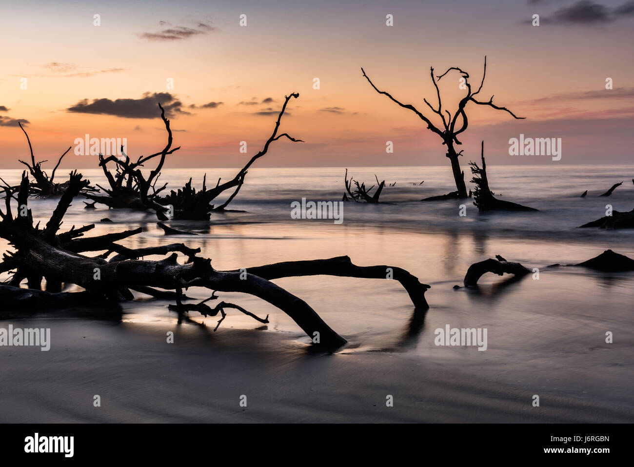 Sunrise over the Boneyard Beach on Bulls Island, South Carolina. Bulls