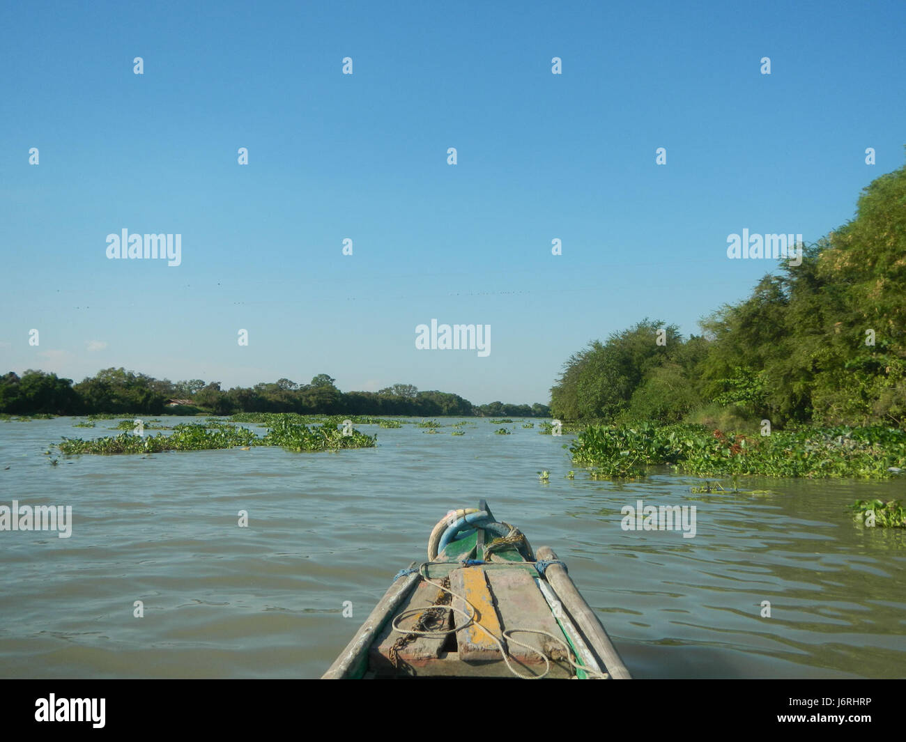 09668 River Districts Candelaria Delta Macabebe Pampanga 21 Stock Photo ...