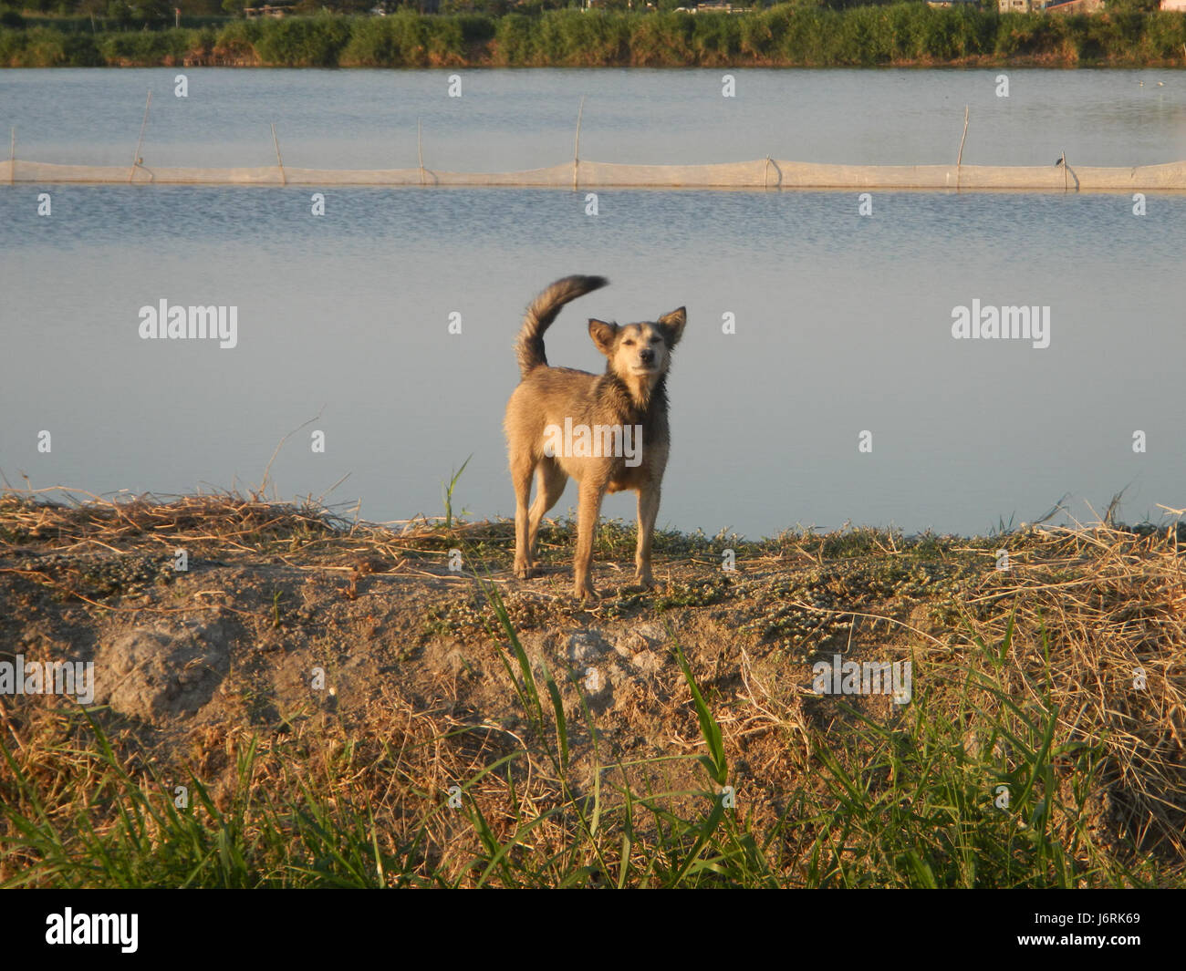 07291 San Nicolas Poblacion Acacia Boulevard Halls Minalin Pampanga 44