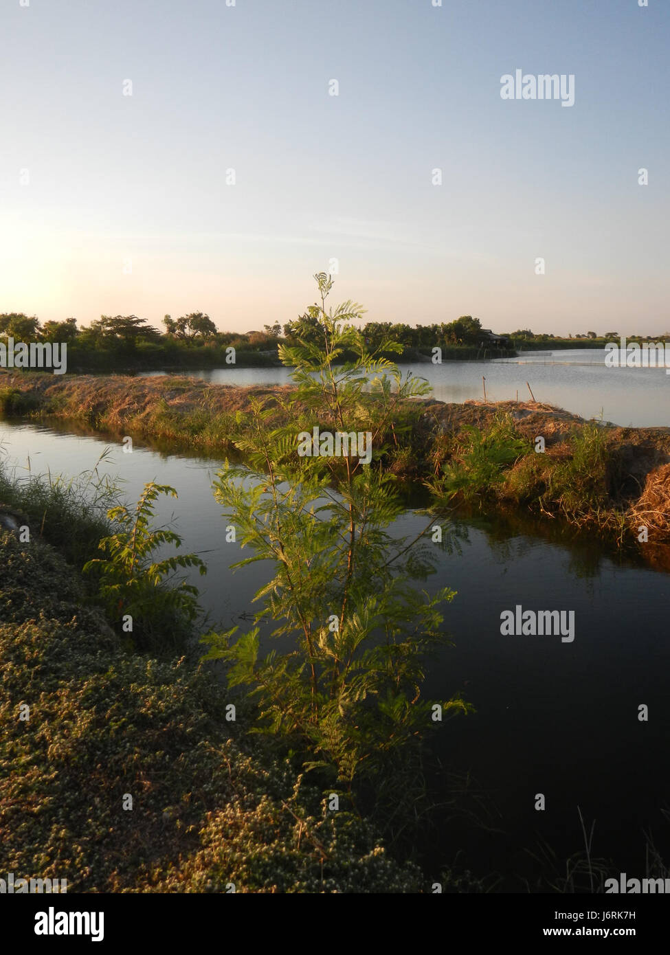 07340 San Nicolas Poblacion Boulevard Fish ponds Minalin Pampanga 22 Stock Photo Alamy