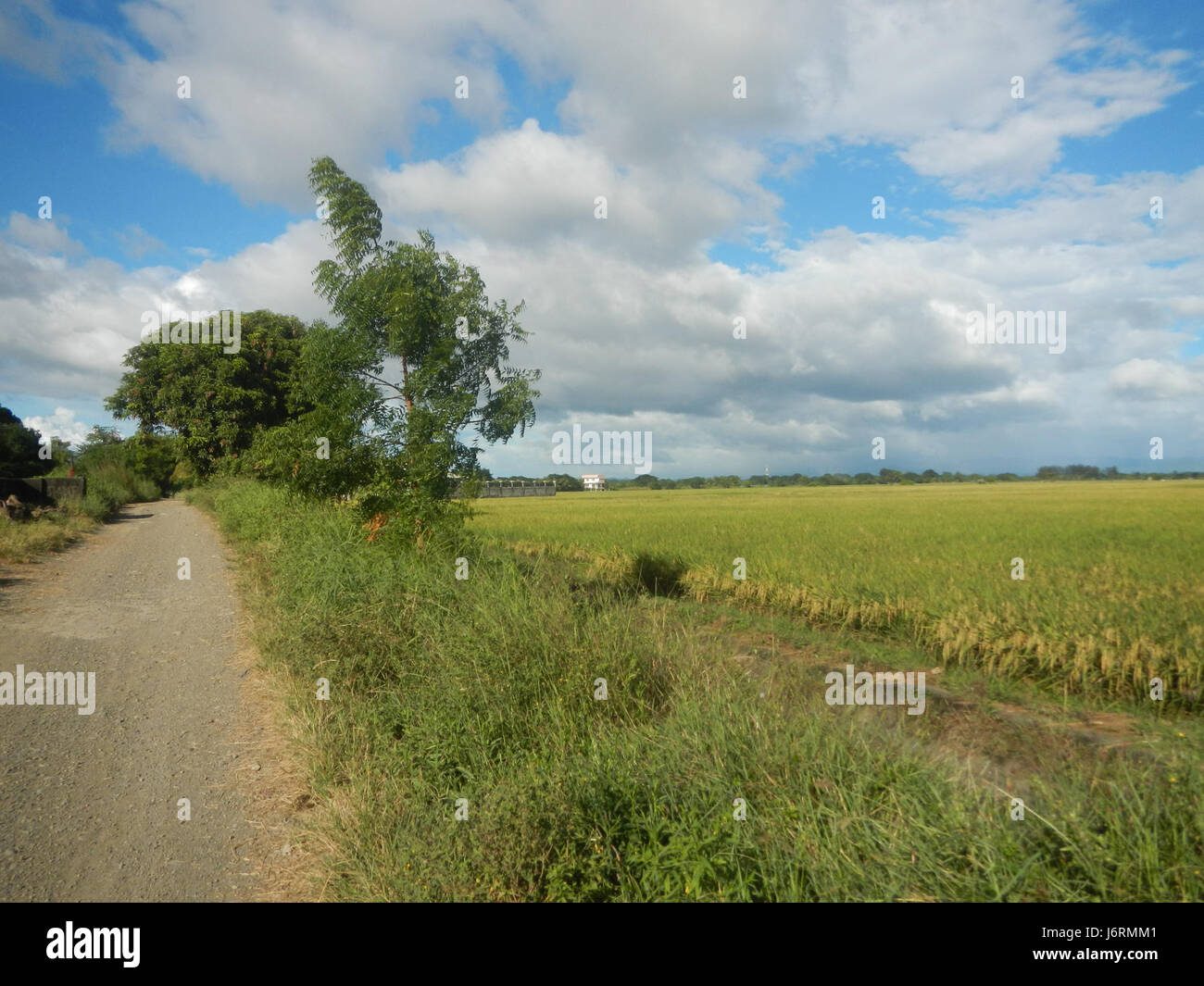 This image shows the agricultural landscape of Talampas, Bustos ...