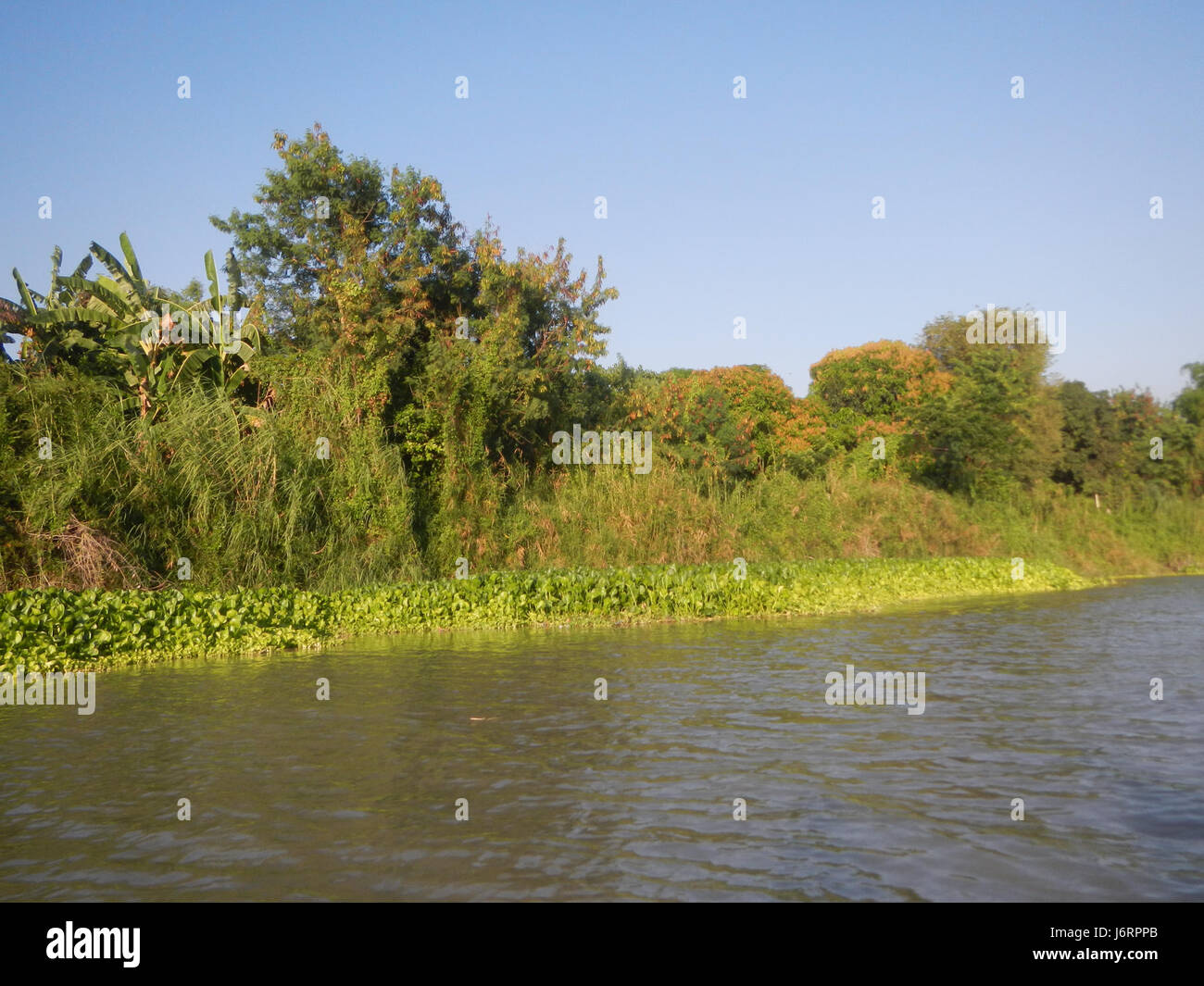 This image shows the serene riverside areas of Calumpit in Bulacan and ...