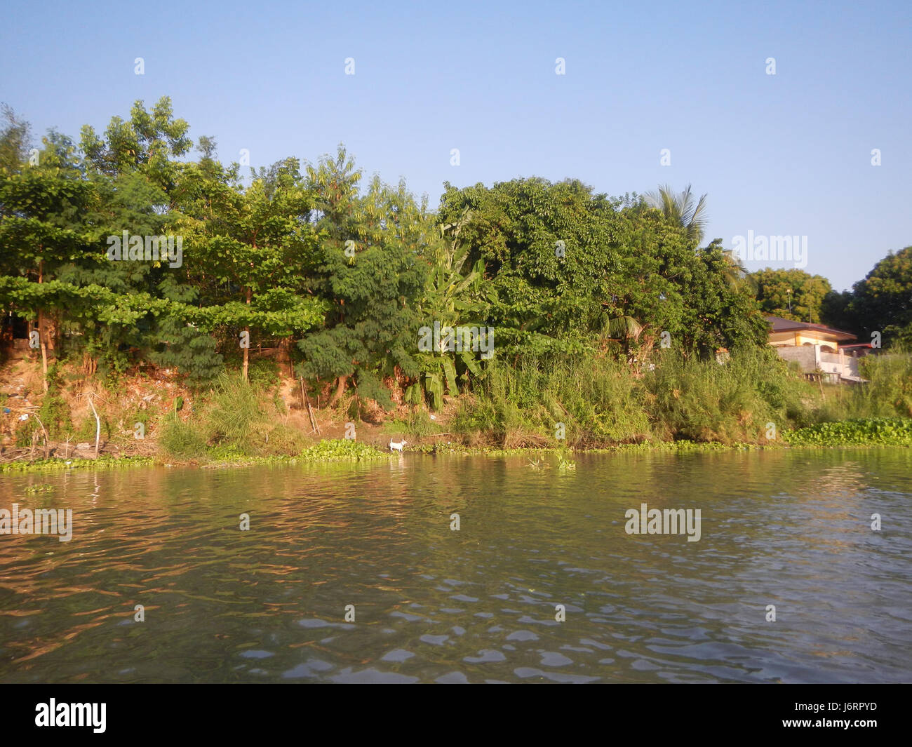 This image captures the scenic riversides of Calumpit in Bulacan and ...