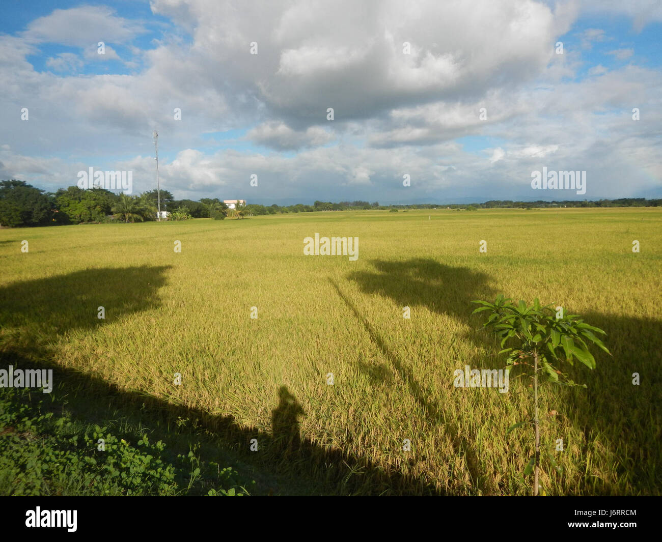 Talampas hi-res stock photography and images - Alamy
