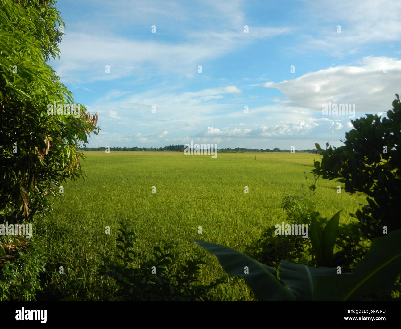 Talampas hi-res stock photography and images - Alamy