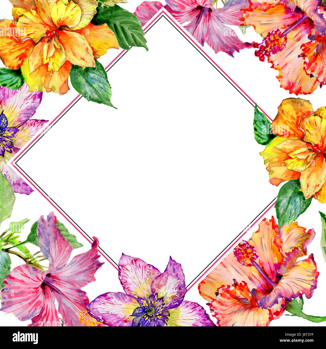 Wildflower hibiscus flower frame in a watercolor style isolated Stock