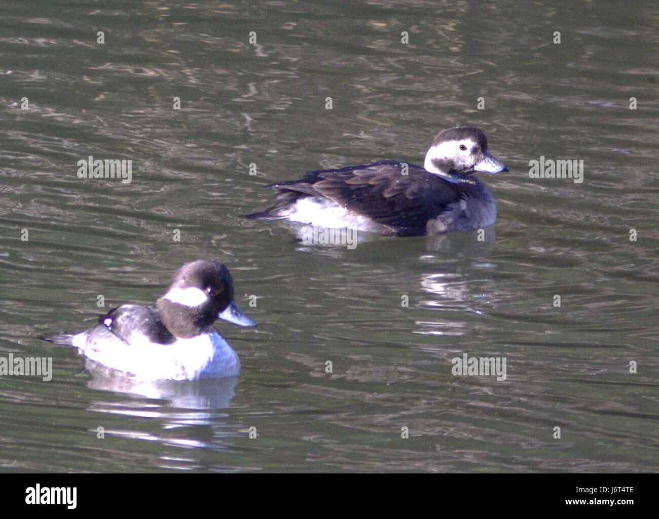 16 08 16 hi-res stock photography and images - Alamy
