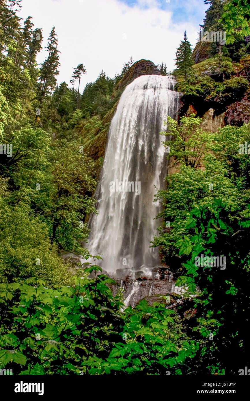 Silver Falls, Oregon Stock Photo Alamy